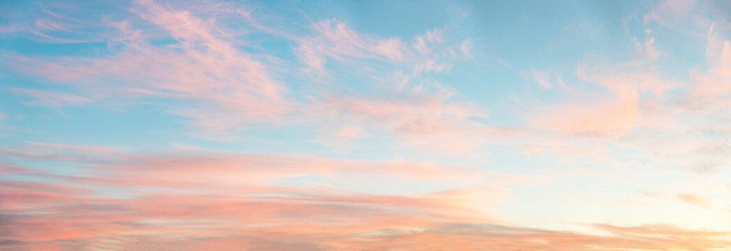 Light Soft Panorama Sunset Background, Blue Sky And Pink Clouds