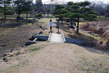 おいらせ　いちょう公園