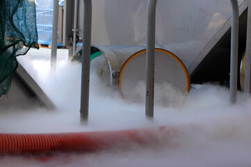 processing of grapes with dry ice