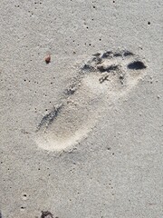 A child's footprint on a sandy seashore