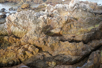 The sandstone on the beach is eroded by the sea and the wind.