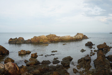 Fototapeta na wymiar Unique sandstone rocks out of the sea. Reef stone.