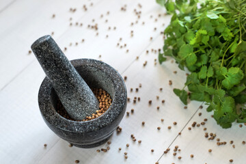Cilantro coriander seeds spice with granite mortar.