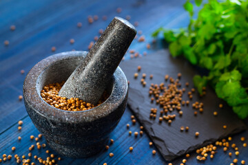 Cilantro coriander seeds spice with granite mortar.