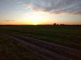 Naklejka premium sunset over the field