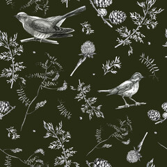 Illustration, pencil. A pattern of leaves and branches of plants, birds. Freehand drawing of flowers on a gray background.