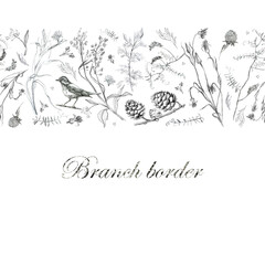 Illustration, pencil. Border from leaves and branches of plants, birds. Freehand drawing of flowers on a white background.
