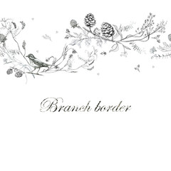 Illustration, pencil. Border from leaves and branches of plants, birds. Freehand drawing of flowers on a white background.