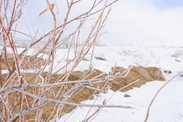 Frost on the branches of trees. Steppe in winter. Frost texture. Trees and plants in winter frost. Snow on the ground. White snowflakes on the branches. Frost on the ground. Clouds in the blue sky