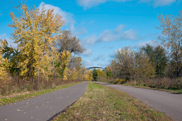 Fototapeta premium forest and trails of black dog greenway