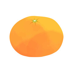 Vector illustration of a fresh orange on white background