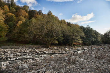 Mountain river on a sunny morning. Beautiful nature in the mountains.