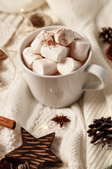 Fototapeta na wymiar Cup of hot chocolate with marshmallow and christmas decorations. Winter cozy home concept