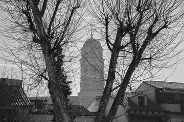 Black and white view of the bell tower of Baeza cathedral through the branches of a tree on a cold winter morning