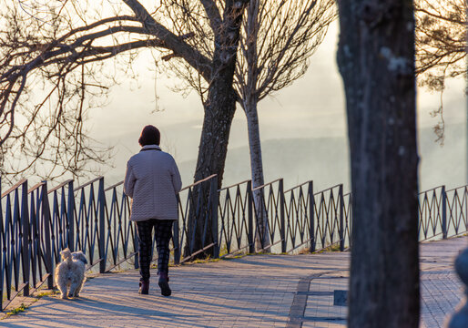 Senior Woman From Behind Walking Her Dog For A Walk In The Park In Winter