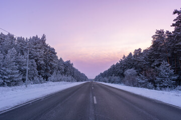 Fototapeta na wymiar Straight paved road running into distance through pine forest covered with snow with frosty pine trees at purple sunset in blue hour with sundown sky gradient in Russia, Siberia