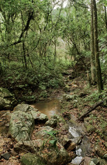 Pequena cachoeira com muitas pedras e arvores em volta. Situada em fazenda na região de Esmeraldas.