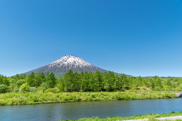 夏の晴れた日の羊蹄山  北海道ニセコエリア