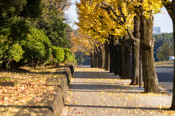 Fototapeta premium 霞ヶ関・有楽町散策