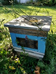 Old wooden bee hive in park.