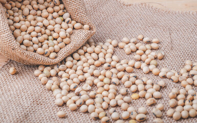 soybean  from bag spilled on a wooden table, Close-up and macro shot, Organic food from nature concept.