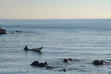 Fototapeta premium 早朝の磯でうにや昆布の漁をする風景 / 北海道余市町