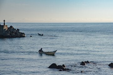 早朝の磯でうにや昆布の漁をする風景 / 北海道余市町