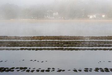 fog over the Hossegor Lake
