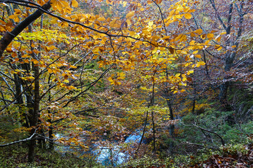 Autunno alle cascate del valdarno, Sant'anna pelago
