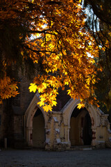 Fototapeta premium church in autumn