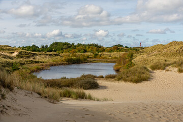 Pond in the dunes of Amrum, Germany, and the lighthouse in the background