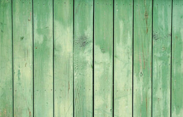 Fototapeta na wymiar green wooden background texture for design