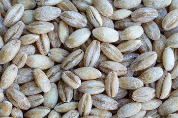 Closed up dry organic wheat seeds background