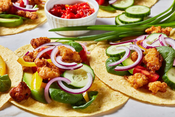 Fototapeta na wymiar chicken street corn tacos with veggies and salsa