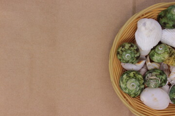 sea shells in a basket end brown background
