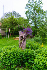green summer garden scene in countryside
