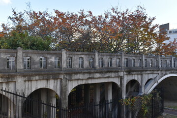 bridge in the park