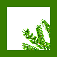 Green square frame with fir branches. Vector frame for winter photographs and certificates.