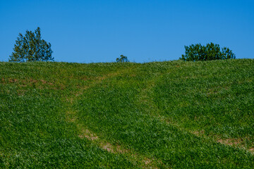 enmpty forest road with tractor car tire track marks