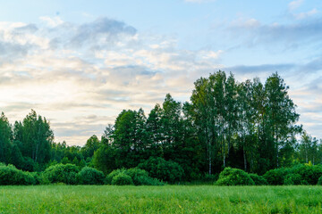 green summer garden scene in countryside