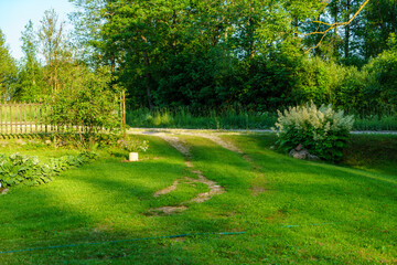 green summer garden scene in countryside