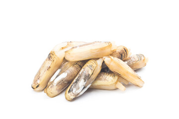 Razor clams isolated on white background.