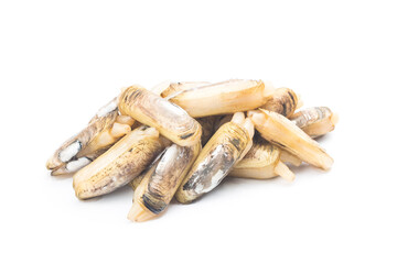 Razor clams isolated on white background.
