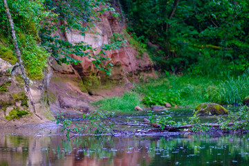 sandstone cliffs on the river Amata in Latvia