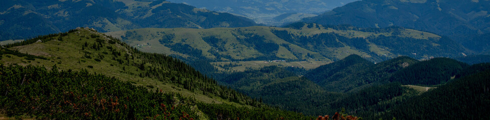 Fototapeta na wymiar Panorama of Carpathian mountains in summer sunny day. Beauty world. Large resolution