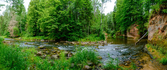 sandstone cliffs on the river Amata in Latvia