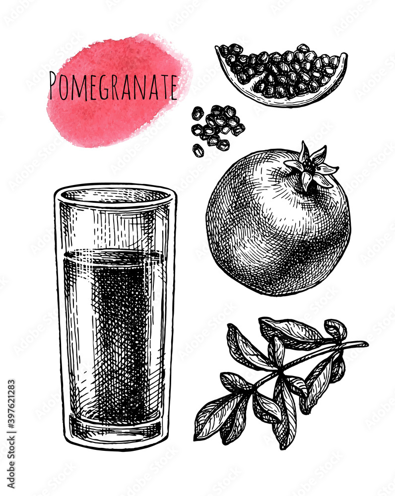 Canvas Prints ink sketch of pomegranate juice.