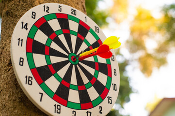 dart in the target