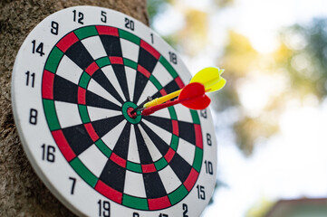 dart on target
