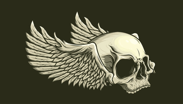 Illustration of skull and wings detailed vector design